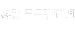 드림아이티